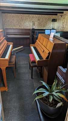 Photo de réparation d'instruments de musique n°11972 à Rouen par Stéphane