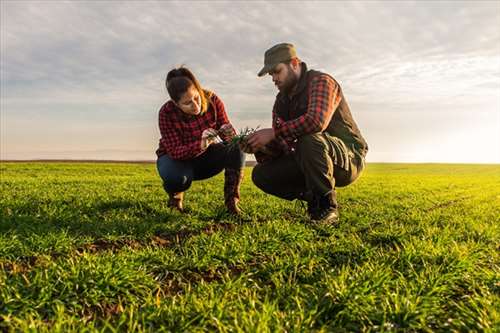 Réparation d’équipement d’agriculteurs - Le Moule